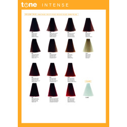 Tone 100ml