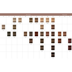 Schwarzkopf Igora Absolutes 60ml