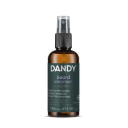 Dandy Beard Sanitizer 100 ml - ochrana vašich vousů
