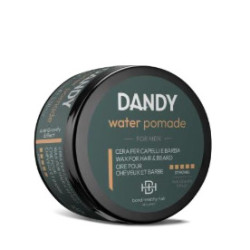 Dandy WATER POMADE vosk pro mokrý efekt 100 ml