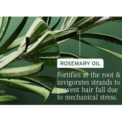 BIOLAGE Full Rescue - aminexilová péče 10 x 6 ml