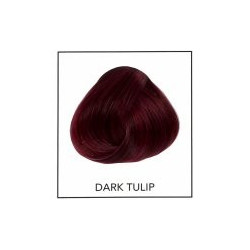 Directions 00 Dark Tulip 89 ml