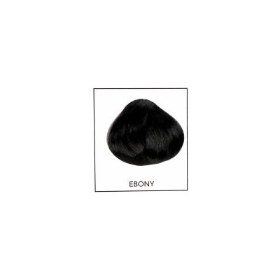 Directions 21 Ebony 89 ml