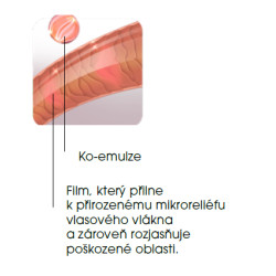 Loreal Absolut Repair péče - kondicionér 500ml