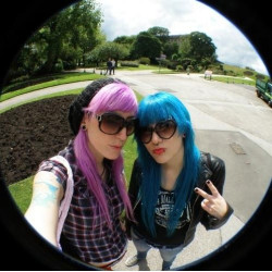 Directions Lavender 88ml